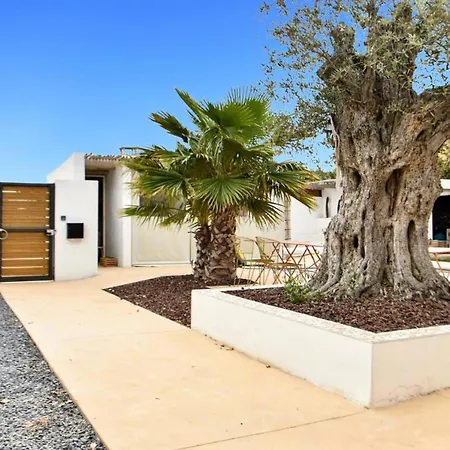 Résidence Sl565-st Laurent D Aigouze - Superbe à Laurent D Aigouze Mae-9901 Villa *